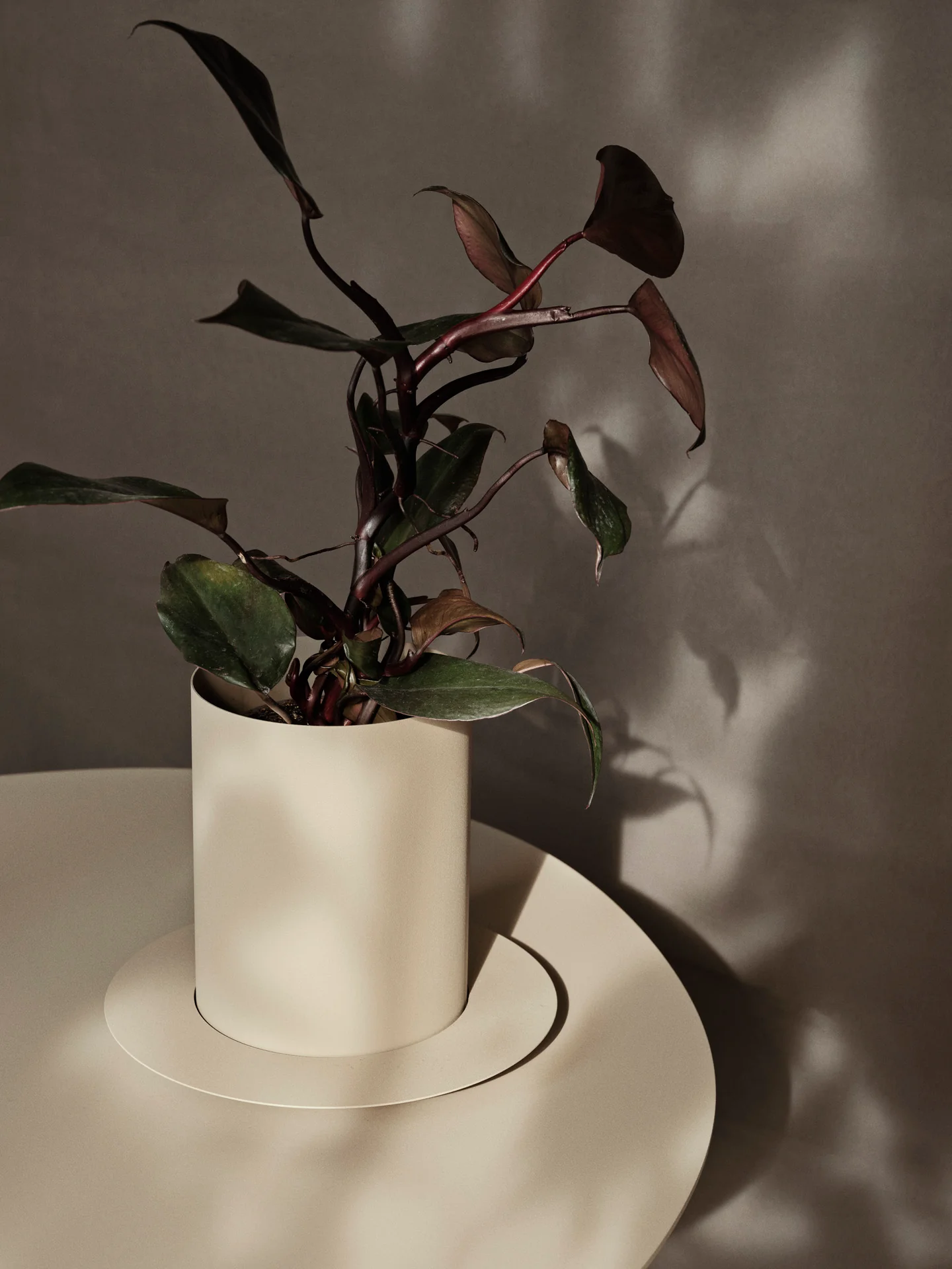 Auran Pot - Cashmere - Image 3