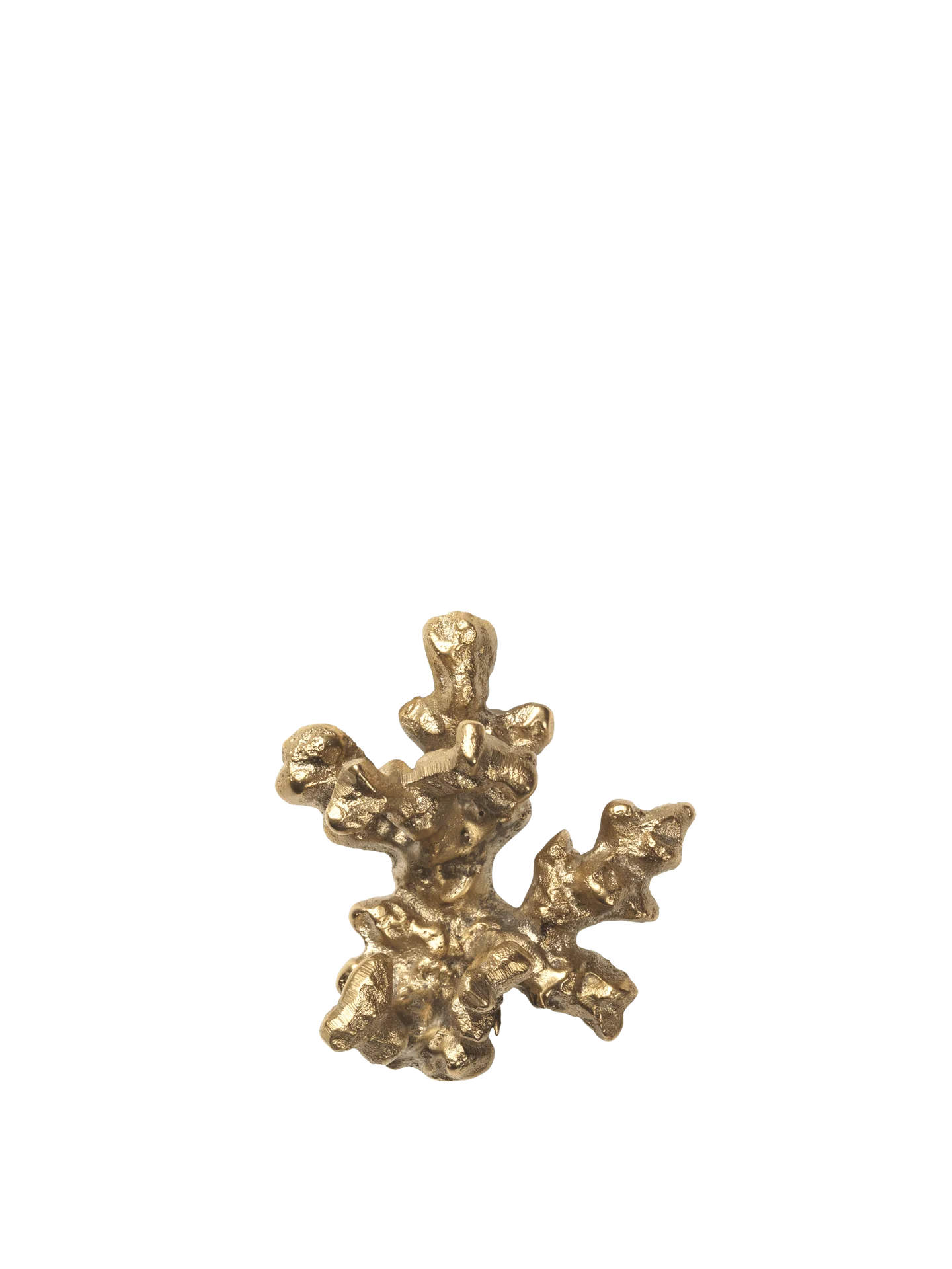 Comber Coral Branch Hook - Brass