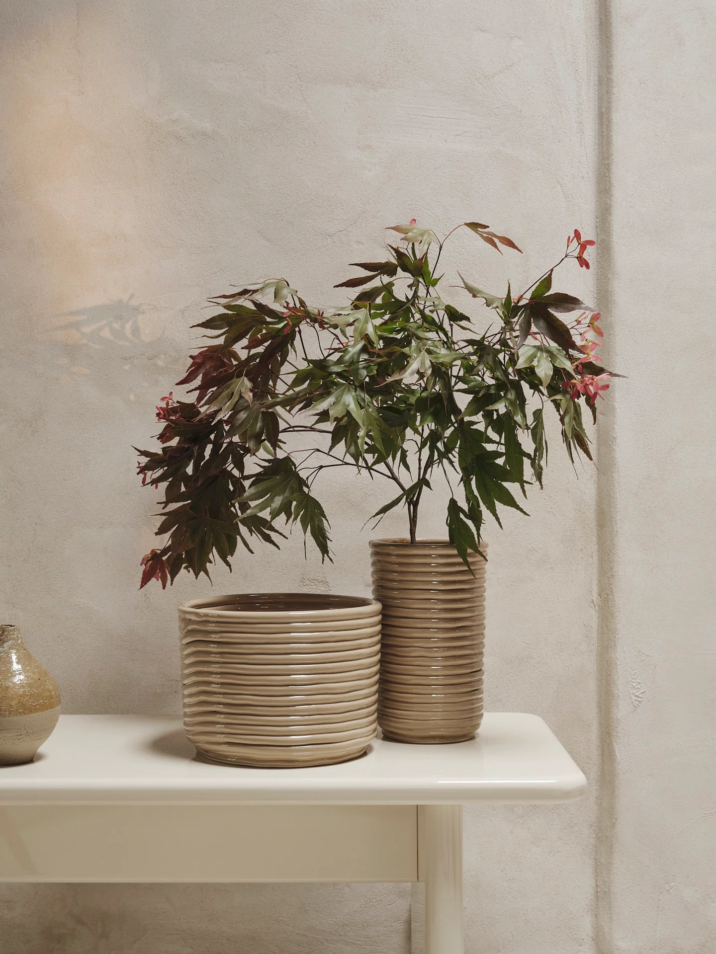 Corduroy Pot - Cashmere - Image 2