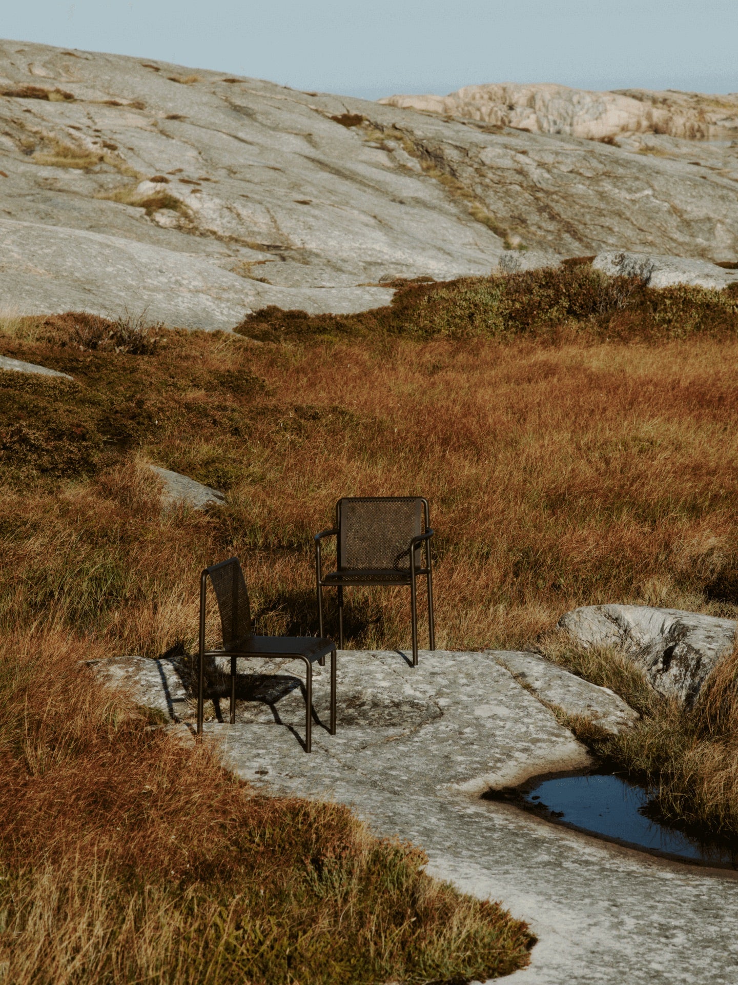 Dapple Chair - Dark Chocolate - Image 2