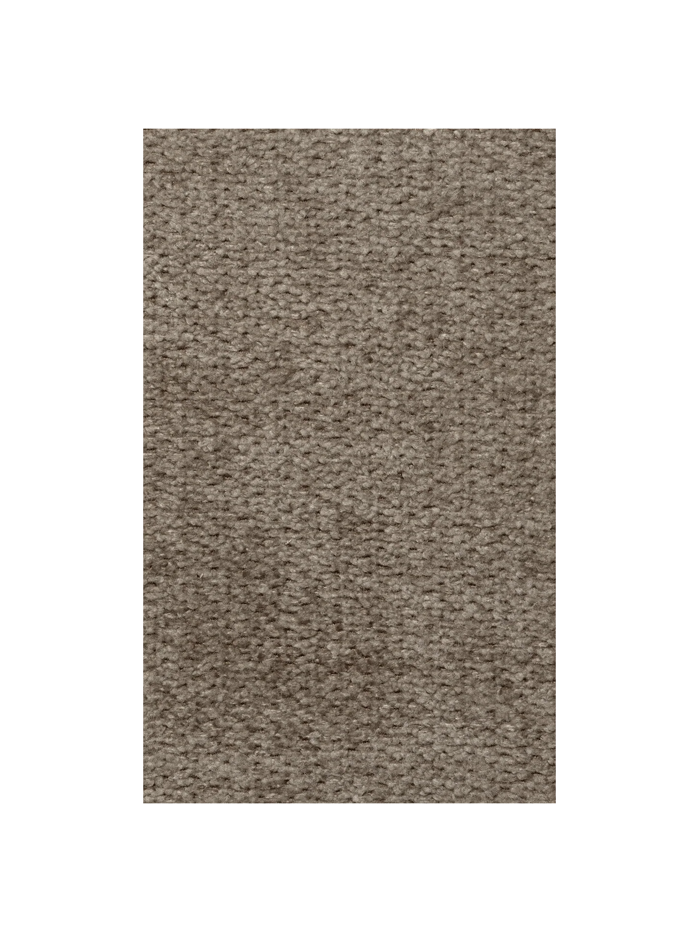 Fabric Sample - Brushed - Warm Grey