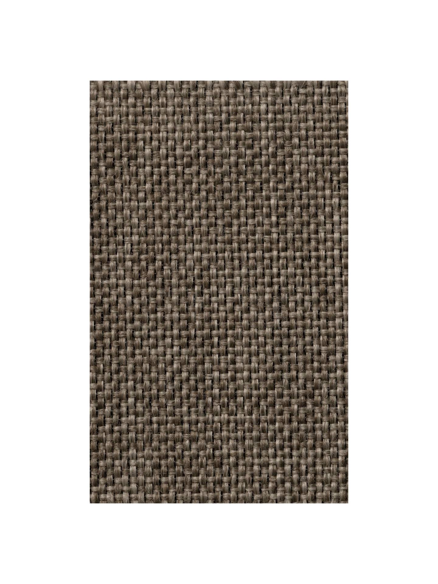 Fabric Sample - Dolce - Dark Sand