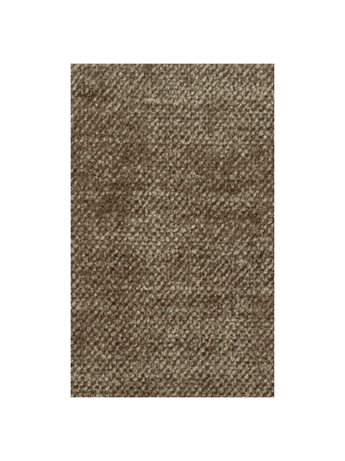Fabric Sample - Faded Velvet - Beige