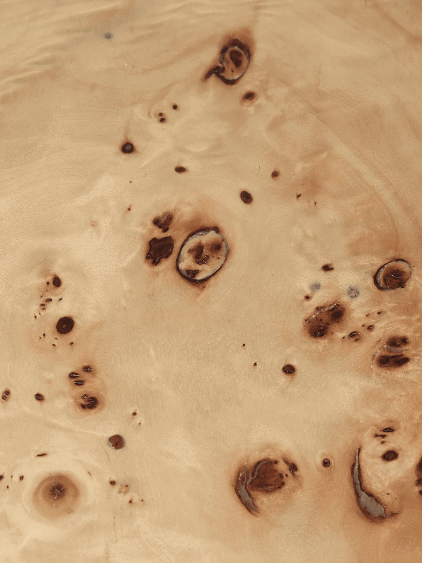 Post Coffee Table - Small - Poplar Burl Veneer - Image 3